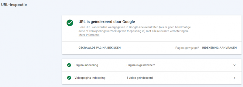 search console video index