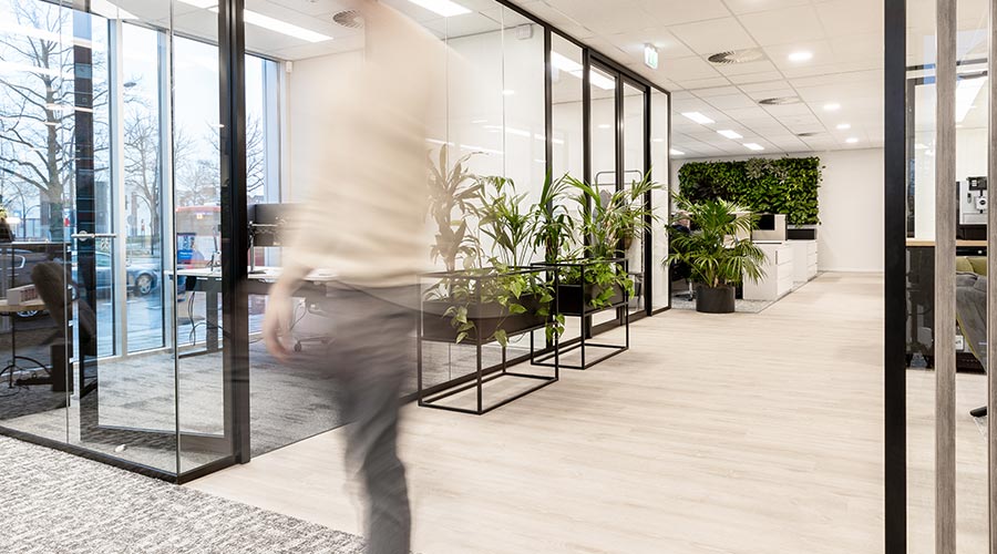 marketing automation mailchimp